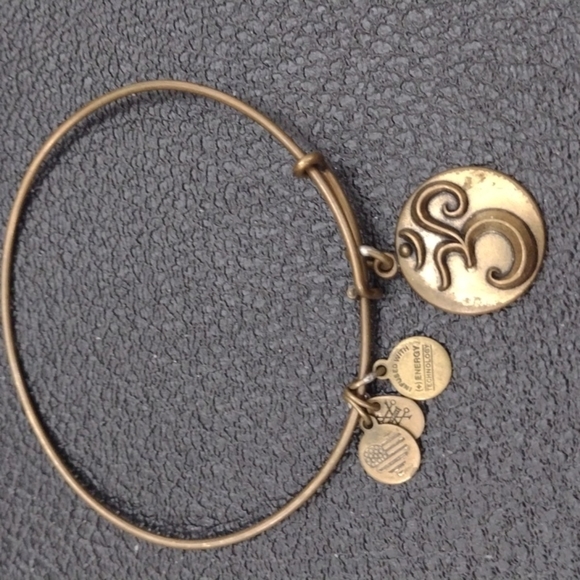 Alex and Ani Gold Charm Bracelet - Picture 1 of 3